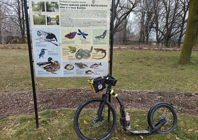 Prodej pozemků Bartovice